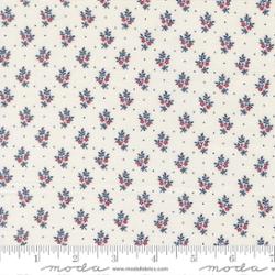 49327 11 American Gatherings III Cloud