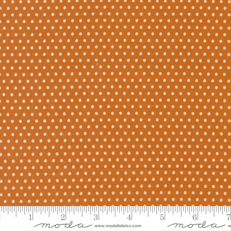 20967 17 Animal Park Fun           Tiger