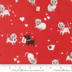 37140 16 Funny Valentine            Love