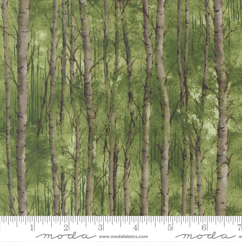 33872 13 Wild Blue Yonder           Pine