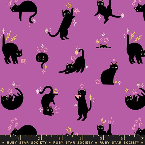 RS5193 13 Freaky Familiars         Witchy