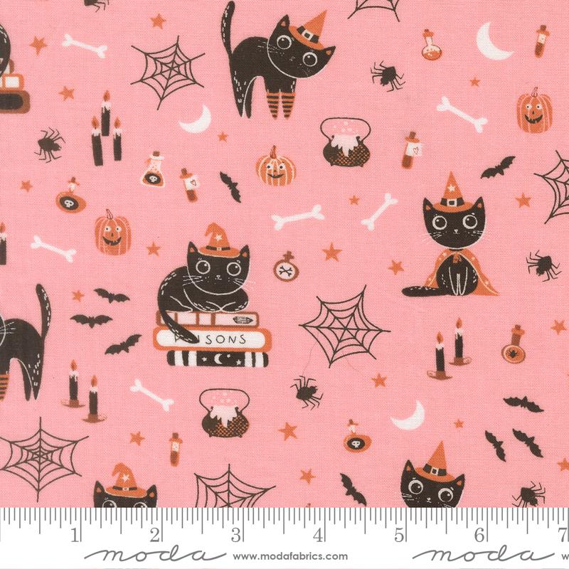 39060 13 Purrs and Boos            Candy