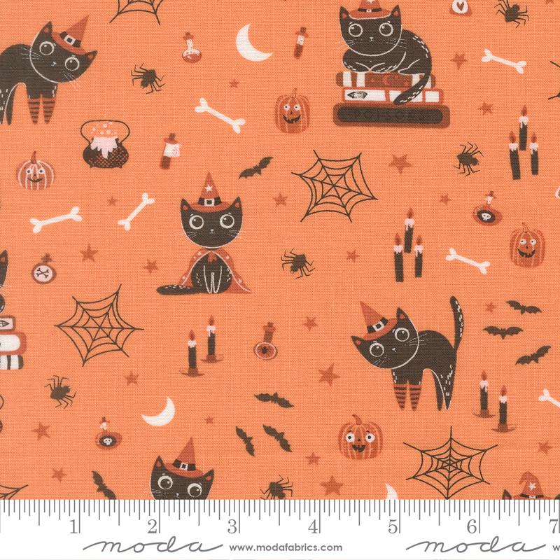 39060 14 Purrs and Boos          Pumpkin