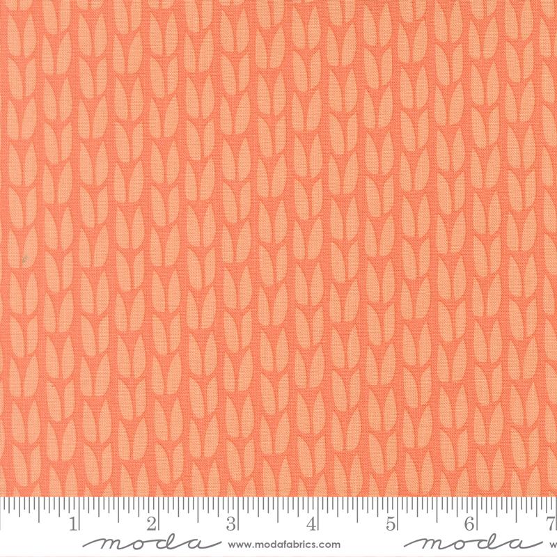 51272 19 Scenery Sprout            Coral