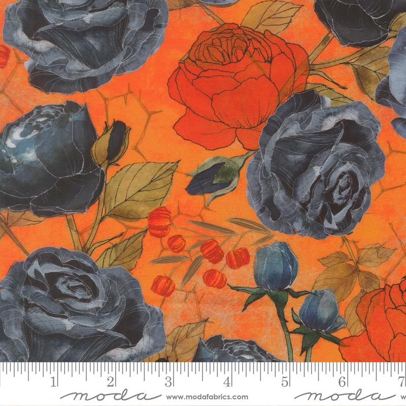 48800 12 Coven                   Pumpkin