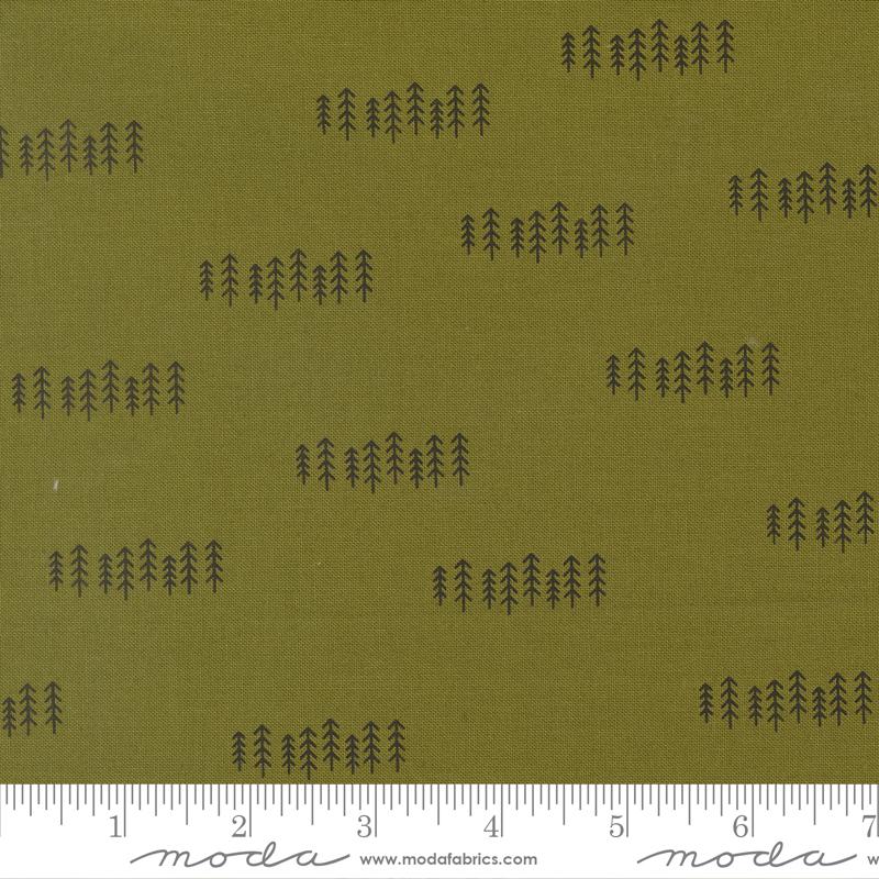 55713 23 Chilly The Forest Pine