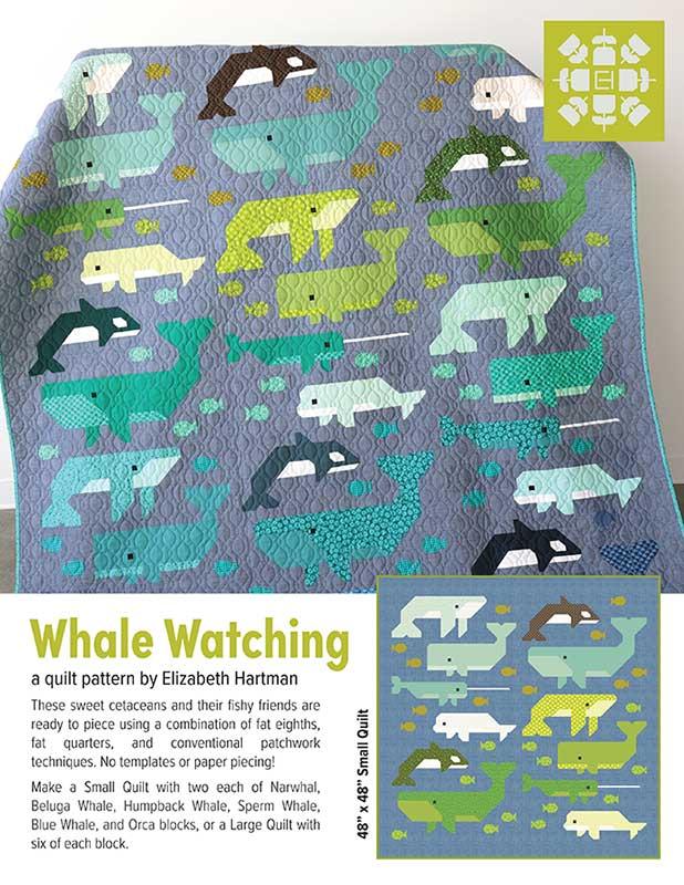 EH 087 Whale Watching