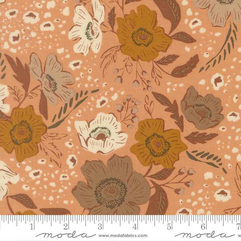45670 14 Wellspring       Coral Seashell