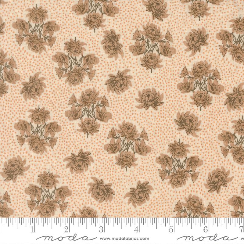 45672 11 Wellspring             Eggshell
