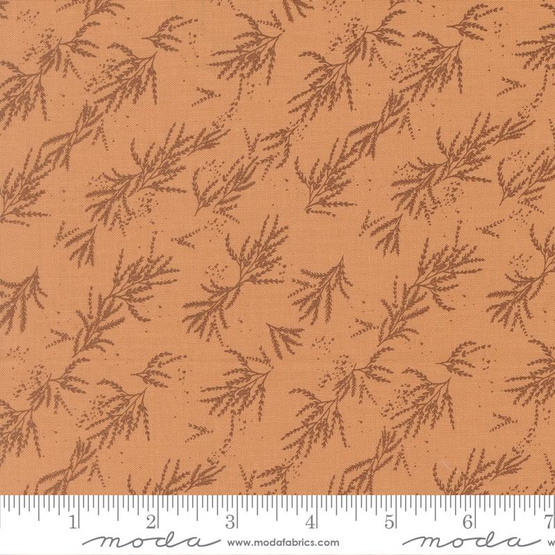 45674 14 Wellspring       Coral Seashell