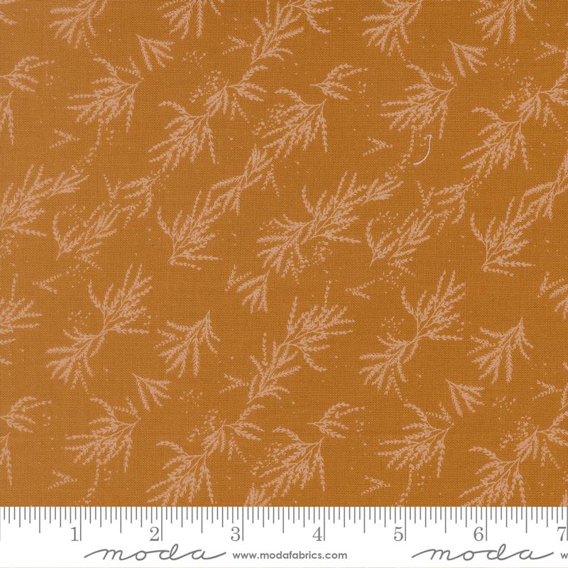 45674 15 Wellspring              Caramel