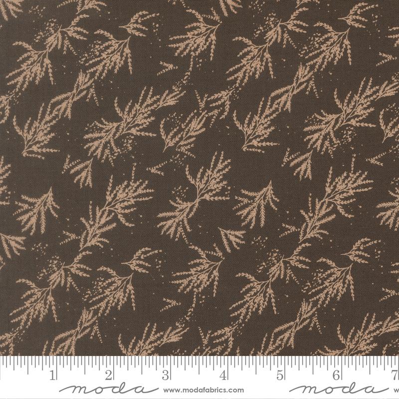 45674 19 Wellspring             Charcoal