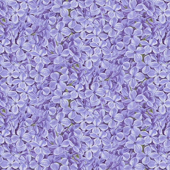 958-75 Periwinkle || Bloomerang