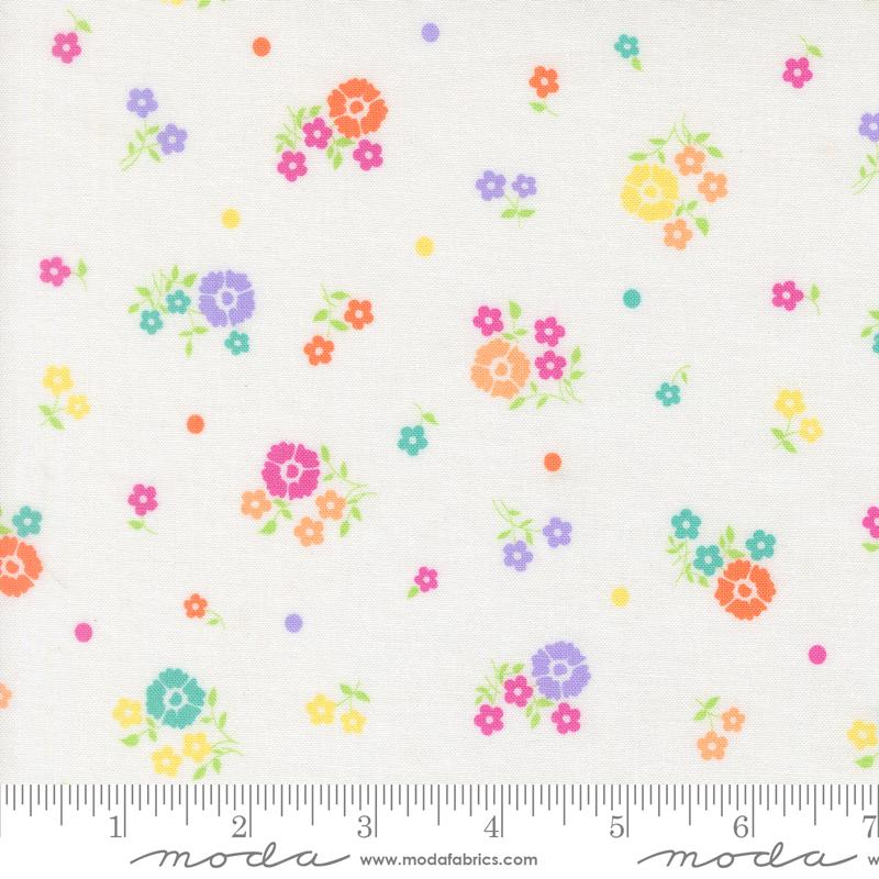 29252 31 Joysome                   Cloud