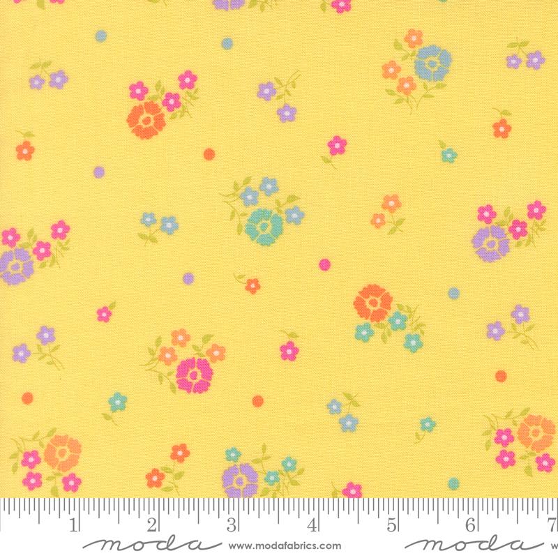29252 37 Joysome                Sunshine