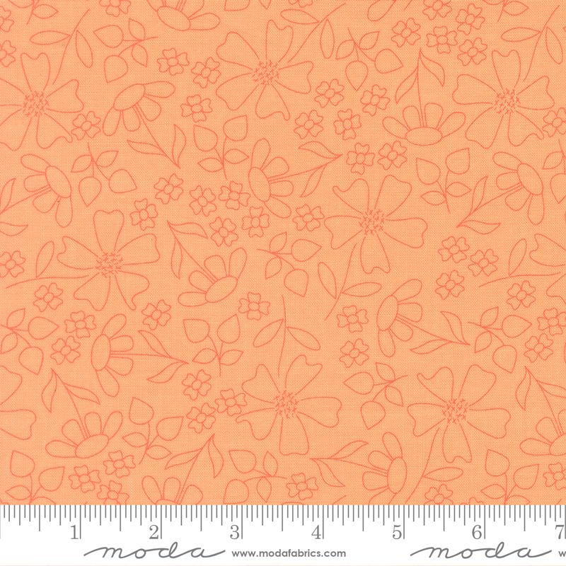 29253 15 Joysome              Cantaloupe