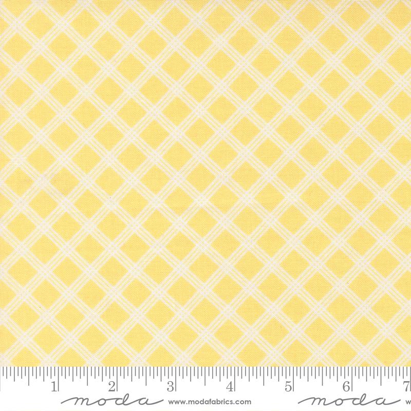 29255 17 Joysome                Sunshine