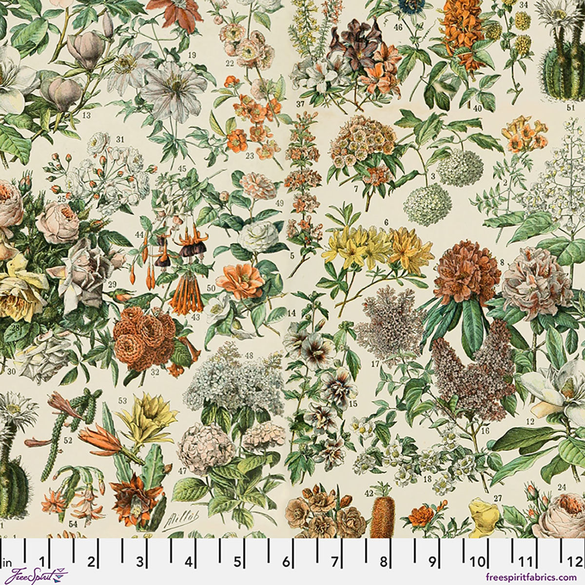 Orange Botanical Canvas - Orange || Palette Canvas Cloth