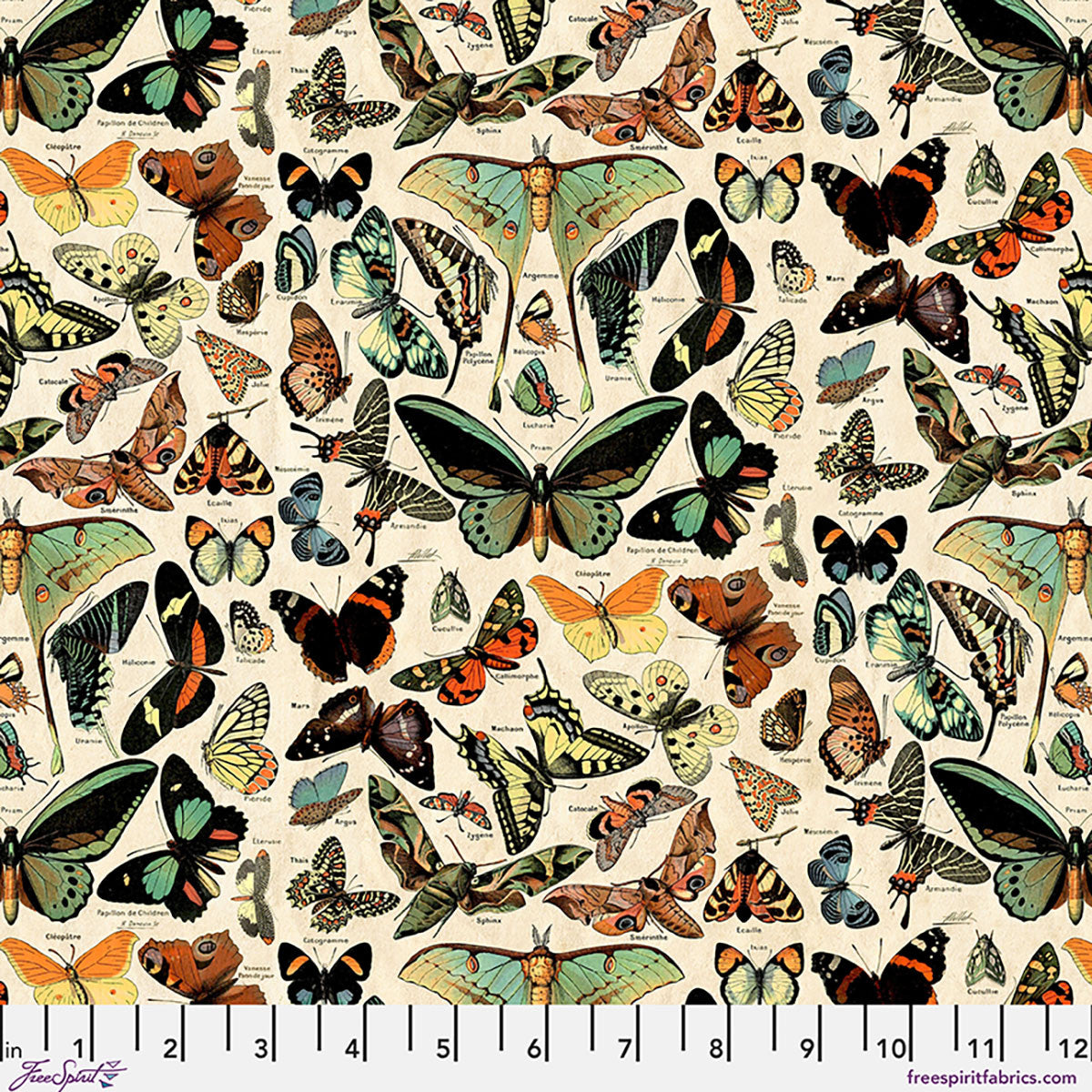 Palette Canvas Cloth