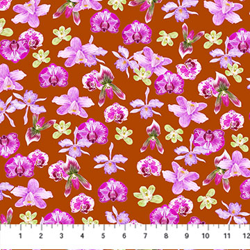 DP90801-36 Margo