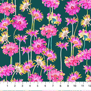 DP90802-64 Margo