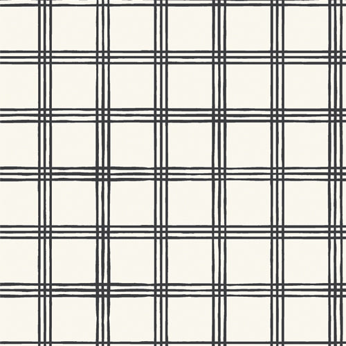 F13137a - Creepy Crossroads Ghost Double Brushed Flannel