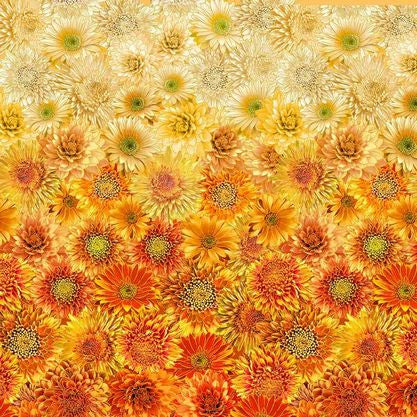 Gradient pattern of sunflowers transitioning from yellow to red.