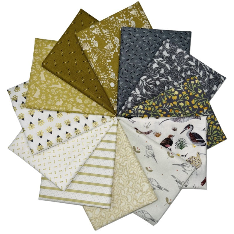 Bird Watching Bundle of the Week