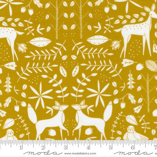 48334 14 Nocturnal                  Gold