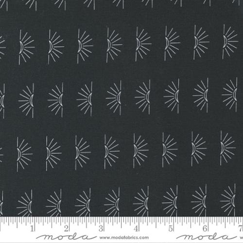48336 12 Nocturnal                 Night