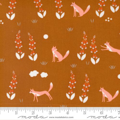 24581 14 Meander Foxes            Saddle