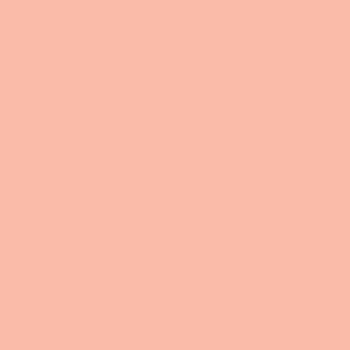 PE-583 Popsicle