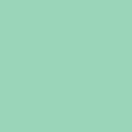 PE-591 Seaglass