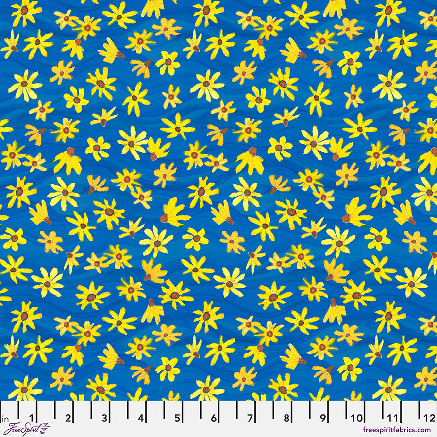PWKD004.SUNSHINE Coneflower Confetti - Sunshine || Sisters Mountain Meadow