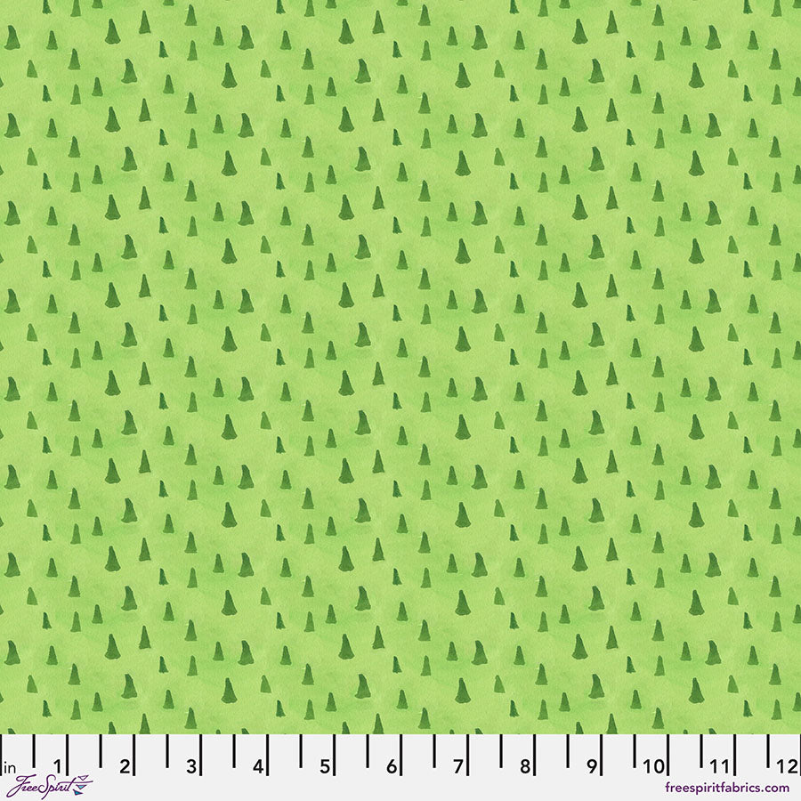 PWKD011.EVERGREEN Forest Flyover - Evergreen || Sisters Mountain Meadow