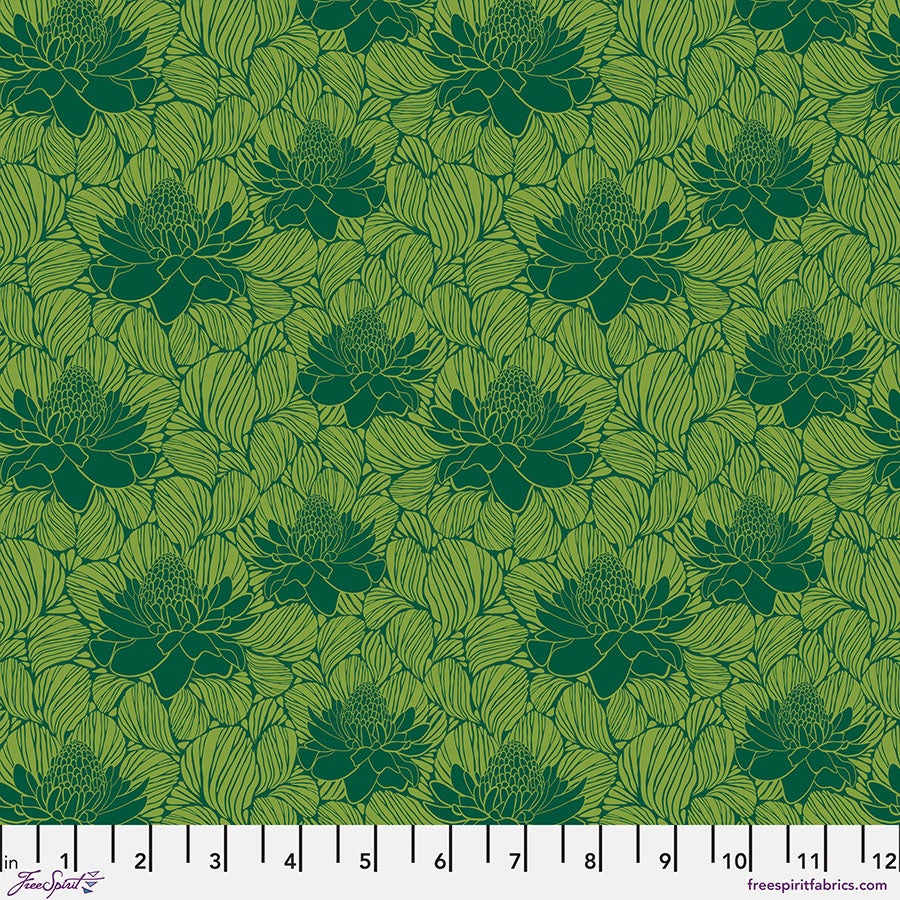 Waratahs - Emerald || Paradise Blooms