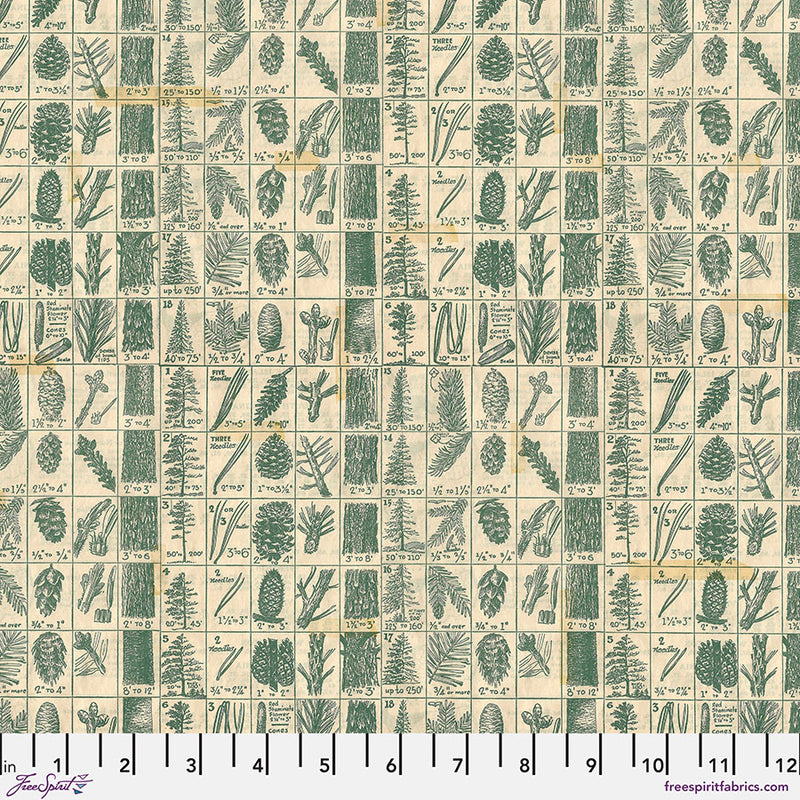 PWTH204.GREEN Pine Chart - Green