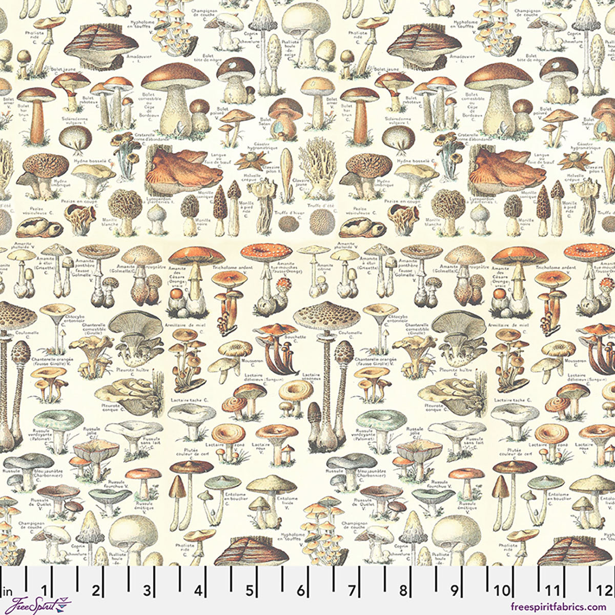 Orange Toadstools - Orange || Palette Curated
