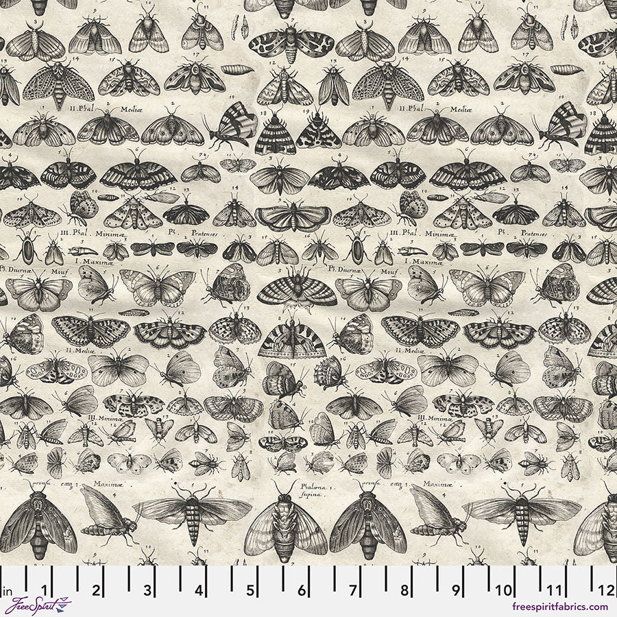PWTH315.CHARCOAL Charcoal Moths - Charcoal || Palette Charcoal