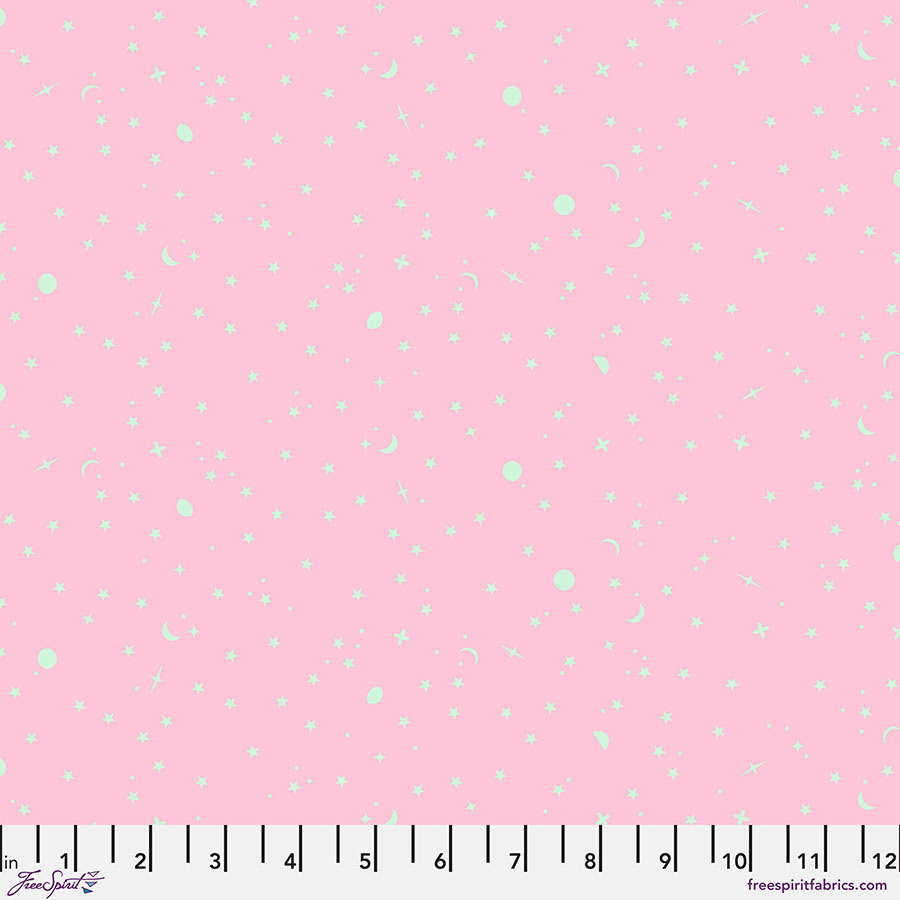 PWTP254.PIGLET Space Sprinkles - Piglet || Tula Pink True Colors