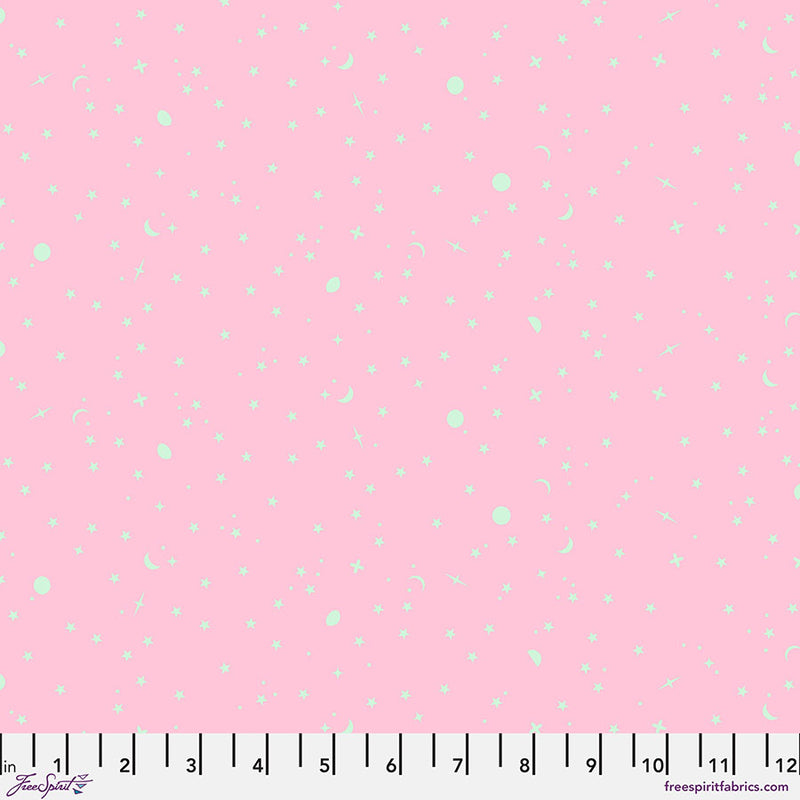 PWTP254.PIGLET Space Sprinkles - Piglet || Tula Pink True Colors