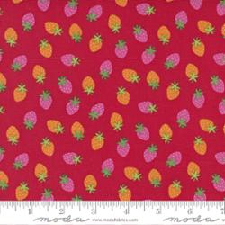 35365 17 Rainbow Garden            Apple