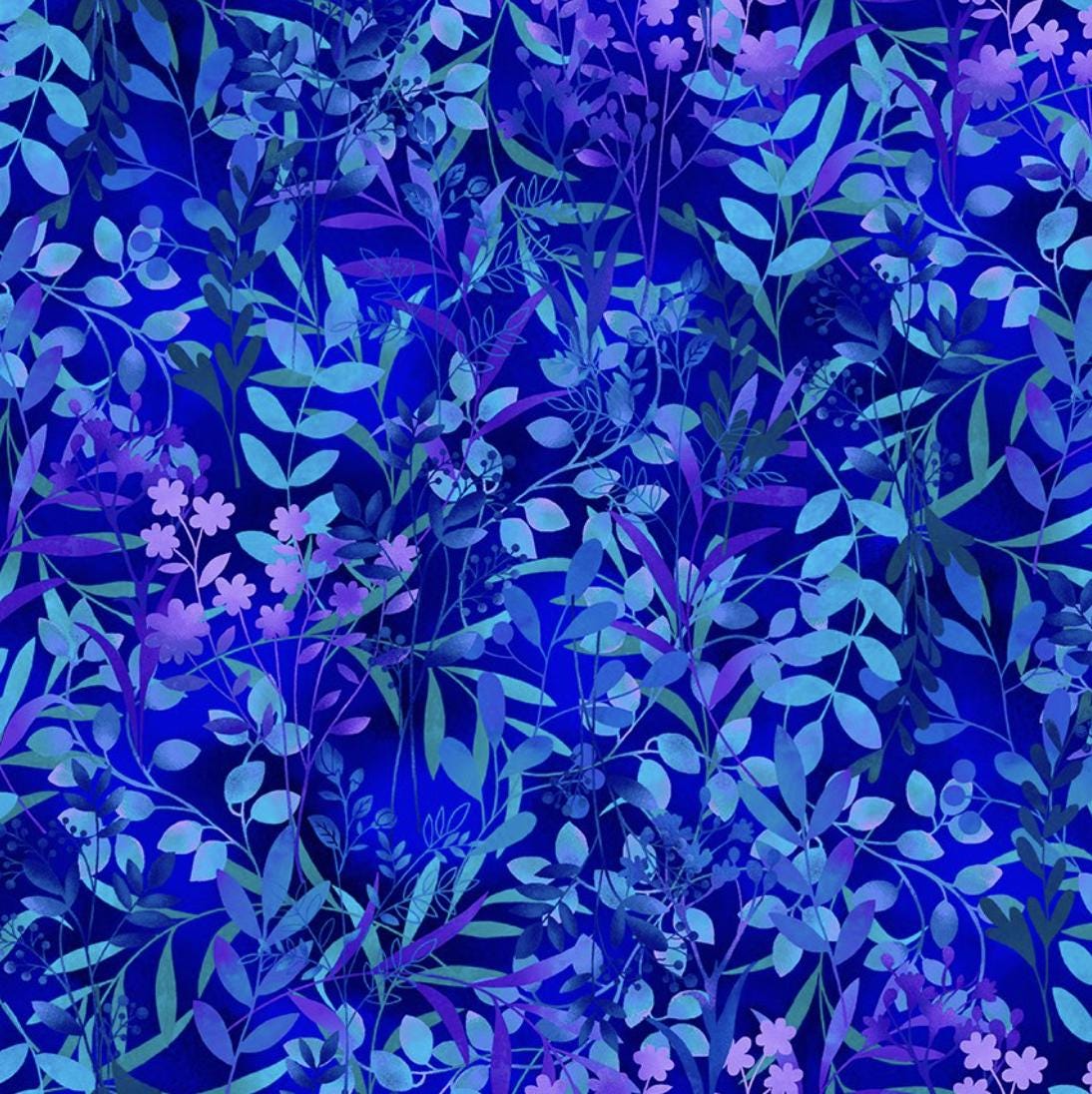 Dragonfly Lagoon || 2795-77 Royal
