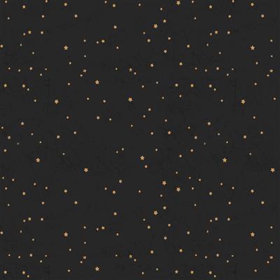 Living The Dream Flannel - Y4538-3 Black - Stars