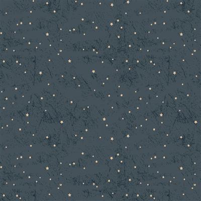 Living The Dream Flannel - Y4538-93 Light Navy - Stars
