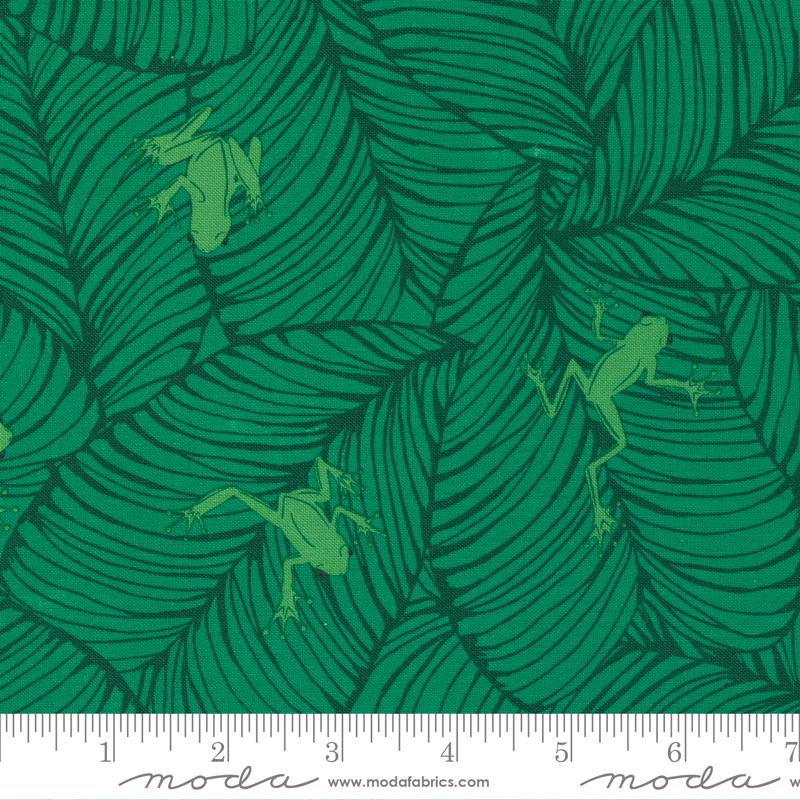 20786 22 Jungle Paradise            Palm