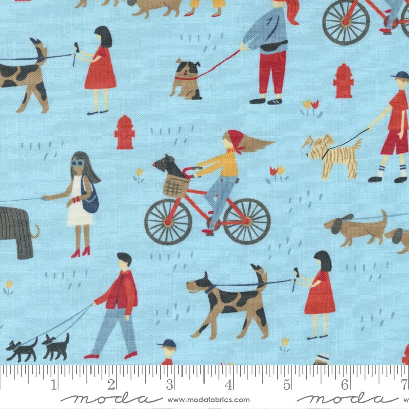 20840 15 Dog Daze                    Sky