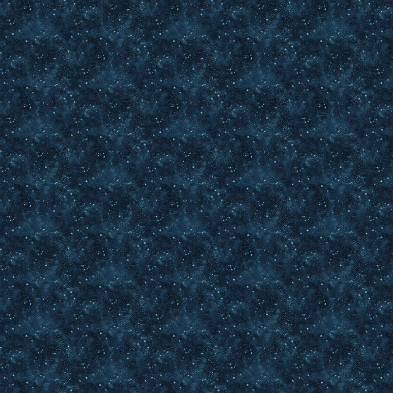 25391-48 Silent Night