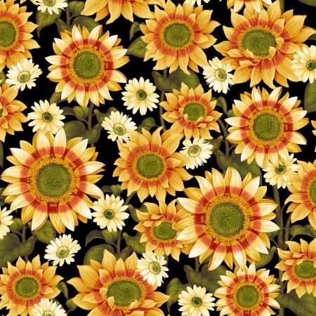 2662-99 Black Sunflower
