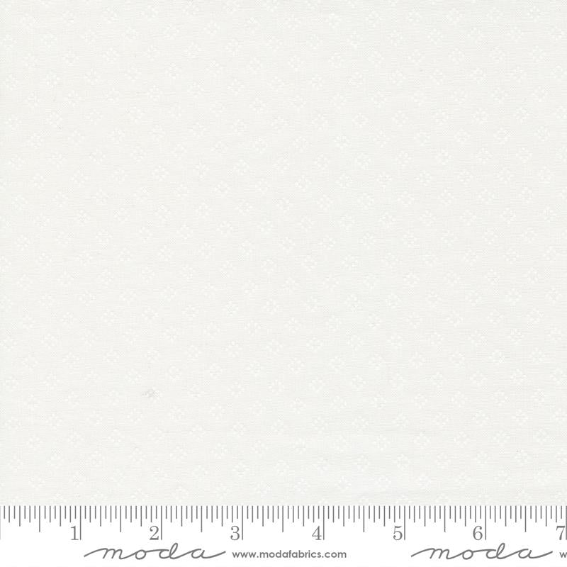 29142 11 Coriander Seeds  Little Miss Shabby